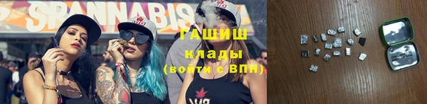 гидра Арсеньев
