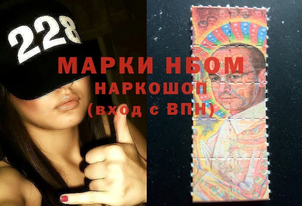 гидра Арсеньев