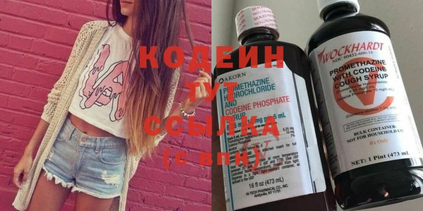 гидра Арсеньев