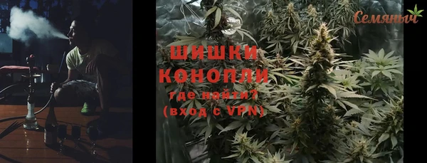 гидра Арсеньев