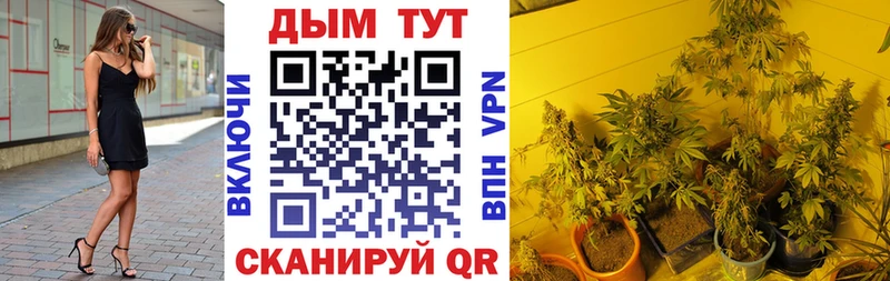 Конопля ГИДРОПОН  omg маркетплейс  Усть-Джегута  дарнет шоп 